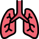 Promotes Steady Energy & Fewer Crashes